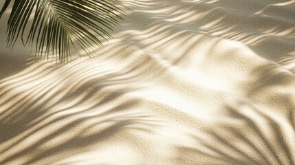 Aufkleber - Soft shadows from palm fronds dance across the warm white sand of a tranquil beach on a sunny day