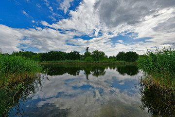 beautiful countryside views along the river bank. the samara river is a left tributary of the larges