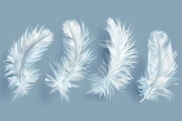 Wall Mural - A group of white feathers arranged on a blue background