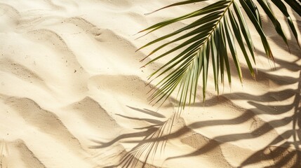 Wall Mural - Palm leaves and white sand on a beach, summer vacation concept