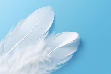 Poster - white feather on blue background made by midjourney