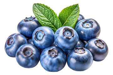 Wall Mural - Freshly harvested blueberries with green mint leaves, cut out - stock png.