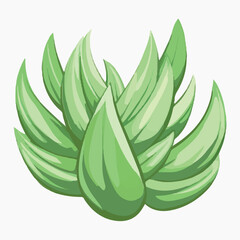 Canvas Print - succulent illustration vector