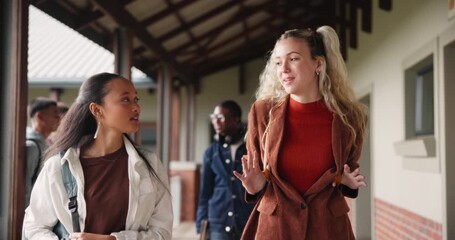 Poster - Walking, university and girl friends in conversation for education, scholarship or studying for exam. Happy, bonding and female students talking at college campus preparing for class test in lecture.