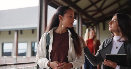 Poster - Walking, university and girl students in conversation for education, scholarship or studying for exam. Happy, bonding and female friends talking at college campus preparing for class test in lecture.