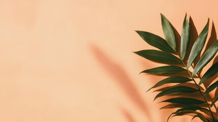 Wall Mural - a vibrant leaf casts delicate shadows on a soft peach backdrop, creating a serene, minimalist aesthe