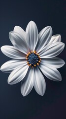 Wall Mural - flower conceptual image, minimalist, beautiful, centered,
