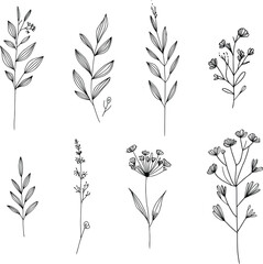 Wall Mural - Set of hand drawn floral elements