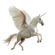 © Mad Craft - A white pegasus flying with a full body isolated on a transparent background