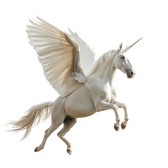 A white pegasus flying with a full body isolated on a transparent background