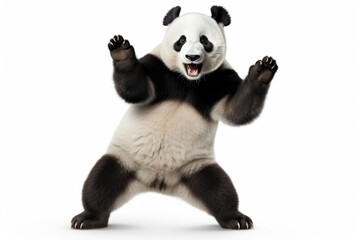 Wall Mural - Happy smiling panda dancing wildlife mammal animal.