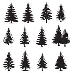 Wall Mural - set of silhouettes of pine trees on white background