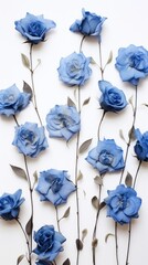 Poster - Real pressed blue rose flowers petal plant inflorescence.