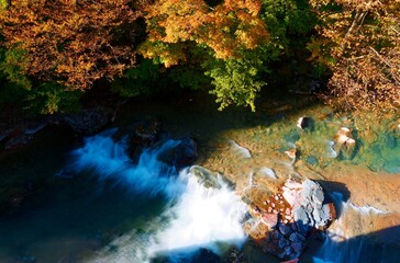 Wall Mural - Autumn scenery of a small stream near  Ryuzu Waterall, surrounded by brilliant fall colors, flowing into Lake Chuzenji 中禅寺湖, in Nikko National Park, Tochigi Prefecture, Japan