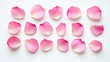 © pinporn manosri - Flat lay of pink rose petals arranged symmetrically on a white background, symbolizing balanced love