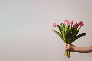 Wall Mural - Women's hand holding pastel pink tulip flowers bouquet over white wall. Aesthetic holiday celebration concept