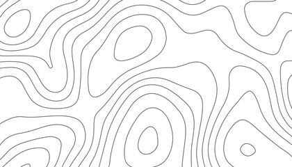 Wall Mural - Background of the topographic map. Topographic map lines, contour background. Black and white abstract background.