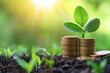 © pics3 - Assess the benefits of sustainable and green investments