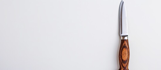Poster - A knife with a wooden handle set against a blank white background providing ample copy space image