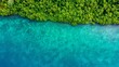 © AucArtStudio - aerial view of lush green tropical rainforest meeting pristine turquoise ocean waters in a remote island paradise.