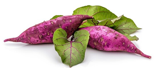 Poster - Isolated sweet potato leaves on a white background with copy space image