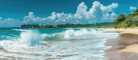 Aufkleber - Scenic tropical beach with waves crashing on sandy shore and clear blue skies perfect for a copy space image