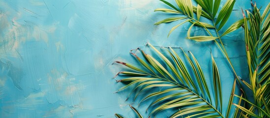 Leinwandbilder - Various palm fronds set against a blue backdrop with ample copy space image
