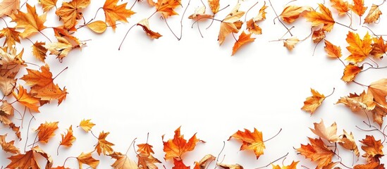 Aufkleber - A frame composed of lovely fallen leaves set against a white backdrop creates a charming copy space image