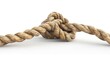 © CHAKKAPONG - Climbing rope, 3D illustration, realistic, isolated on white background