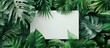 © HN Works - A symbol of focus on a white paper against a lush green backdrop denotes business motivation and psychological support featuring a copy space image