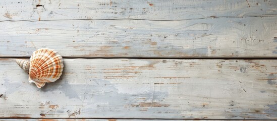 Leinwandbilder - Light wooden background with a sea shell providing copy space image