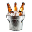 © patternforstock - Beer bottles with ice in a can bucket clip art