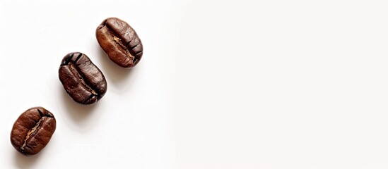 Poster - A solitary coffee beans against a white background providing ample copy space image