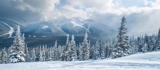 Wall Mural - Scenic winter mountains with snow covered spruce trees against a cloudy sky Stunning copy space image