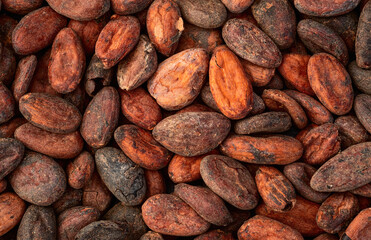 Canvas Print - Cocoa beans grain texture . Ingredient for preparating chocolate