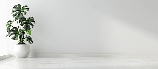 Poster - Scandinavian style room features a white pot with a lovely monstera flower against an empty white wall creating a minimalistic ambiance with a copy space image