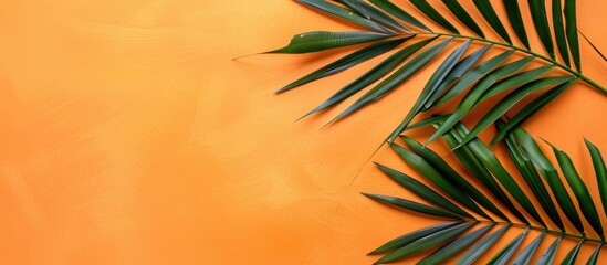 Fototapete - A tropical palm leaf on an orange summer backdrop with ample copy space image available