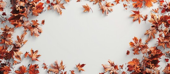 Poster - A frame composed of lovely fallen leaves set against a white backdrop creates a charming copy space image