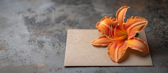 Sticker - Mockup of a business card on brown paper featuring an orange day lily on a gray concrete surface with blank space for text or images on the side evoking a spring themed still life. Creative banner