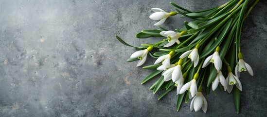 Poster - Snowdrop bouquet on a gray stone background with a copy space image for messages perfect for Valentine s Women s and Mother s Day greetings featuring delicate spring flowers