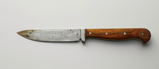 Poster - A knife with a wooden handle set against a blank white background providing ample copy space image