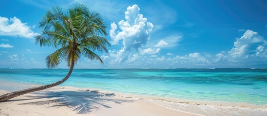 Poster - A palm tree on a pristine beach with azure waters creating a serene scene with copy space image