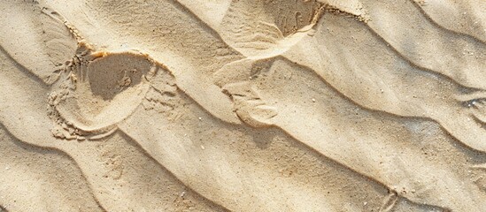 Poster - Sand texture artfully crafted with room for design elements and text Overhead perspective in the copy space image