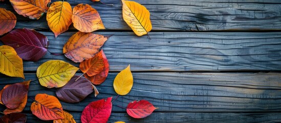 Aufkleber - Fall themed backdrop featuring multicolored leaves on a rustic wooden surface ideal for copy space image
