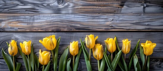 Poster - A wooden backdrop with yellow tulips perfect for a copy space image Ideal for a springtime greeting or birthday card background