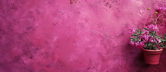 Aufkleber - Vibrant fuchsia or magenta plaster wall creates a stylish backdrop for copy space and text