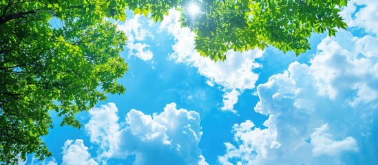 Aufkleber - Summer sky with fluffy clouds and a green tree canopy ideal for text insertion in a copy space image