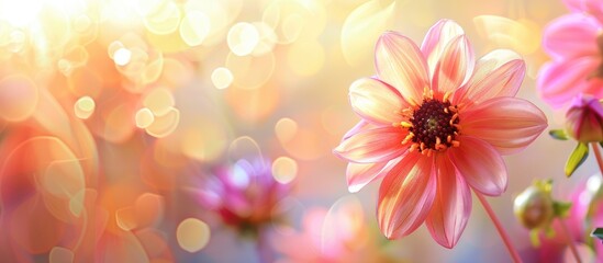 Aufkleber - Stunning flower against a lovely blurred copy space image