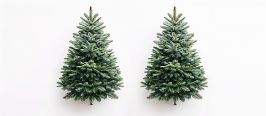 Fototapete - Two Christmas trees on a white background creating a festive holiday setting with a flat lay and top view perfect for a copy space image