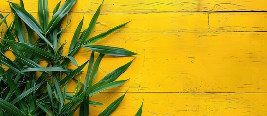 Poster - Top view shot of tropical green grasses on a yellow wood background with copy space image